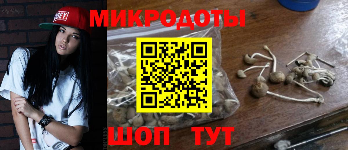 Галлюциногенные грибы Psilocybine cubensis Сухой Лог